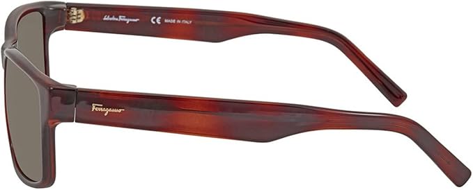 Ferragamo SF960S - Gafas de sol unisex Tortoise
