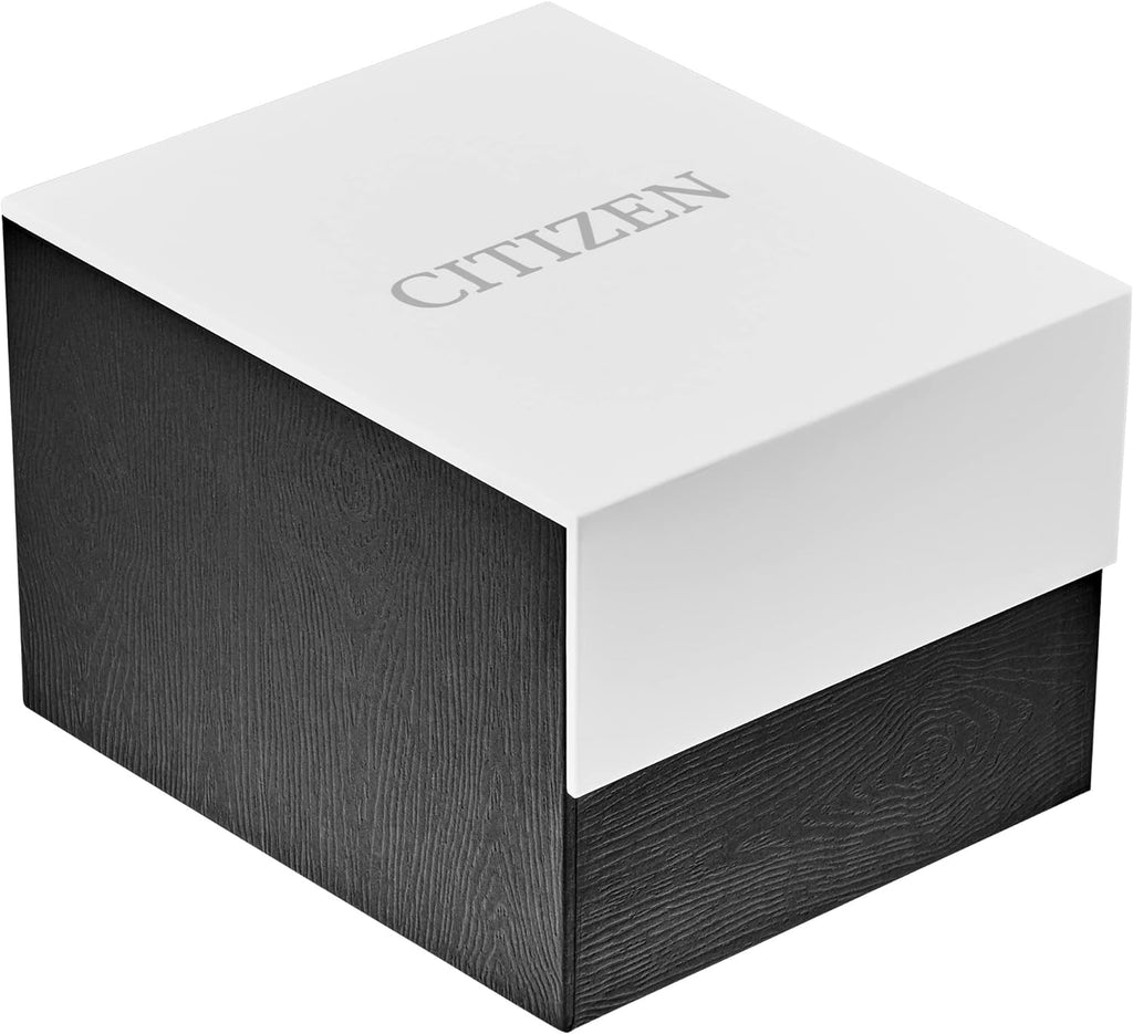 Citizen Men'S Eco-Drive Weekender Avion Field Watch